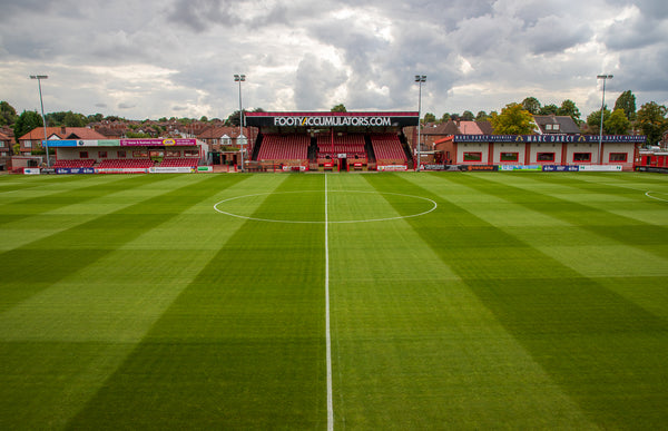 Altrincham v Boreham Wood Match Preview