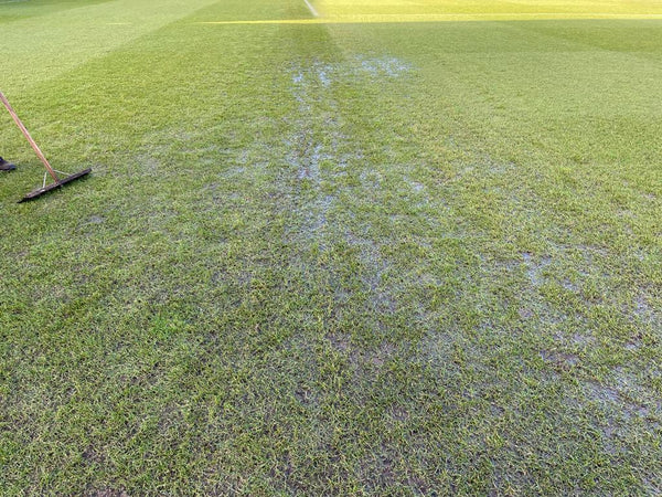 Match off - Bromley game falls victim of the weather