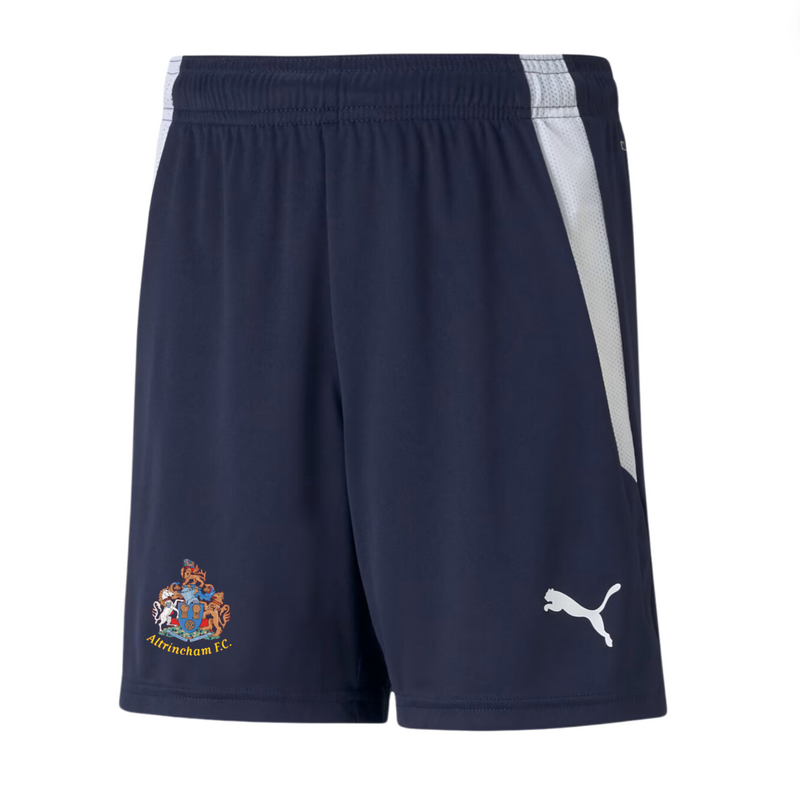 Puma Training Shorts - Navy